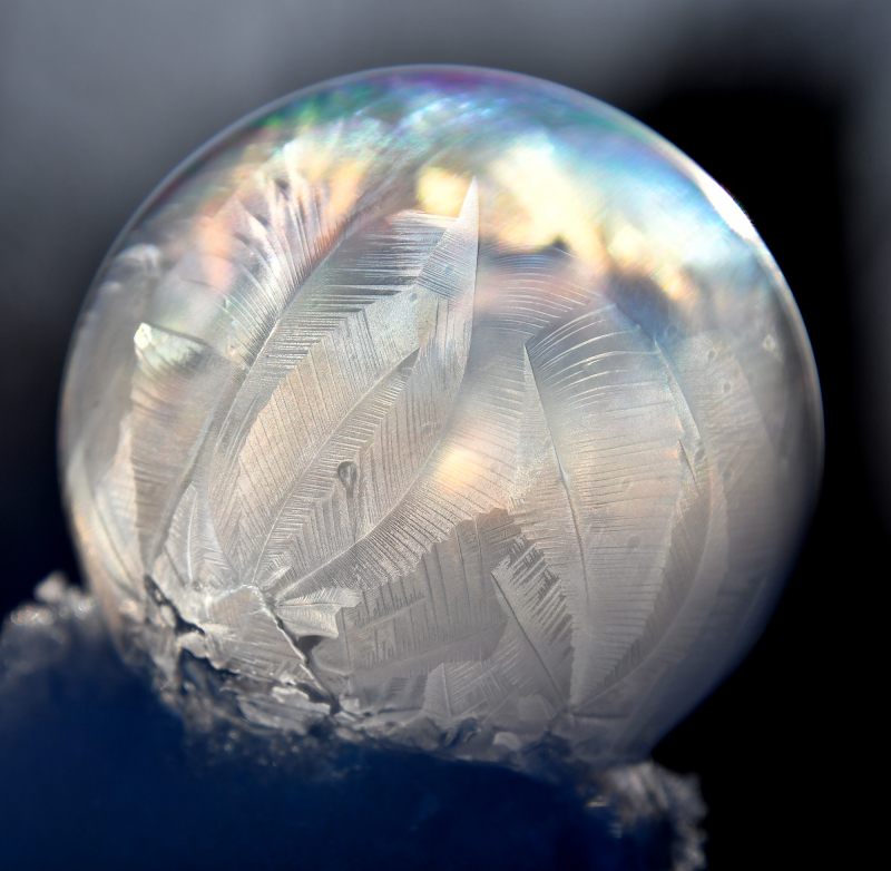 Frozen Bubble, photograph