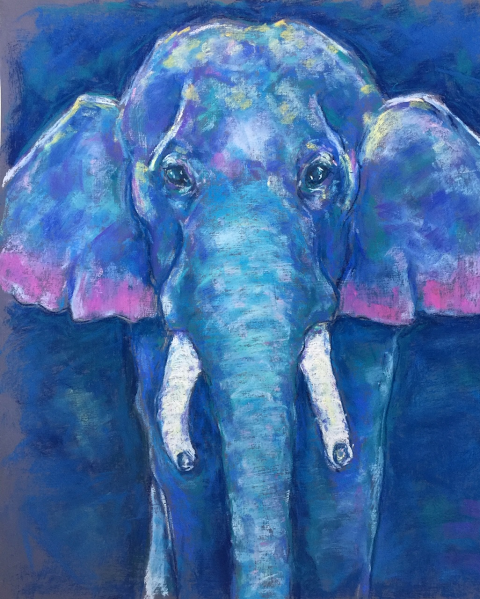 Elephant, pastel on paper
