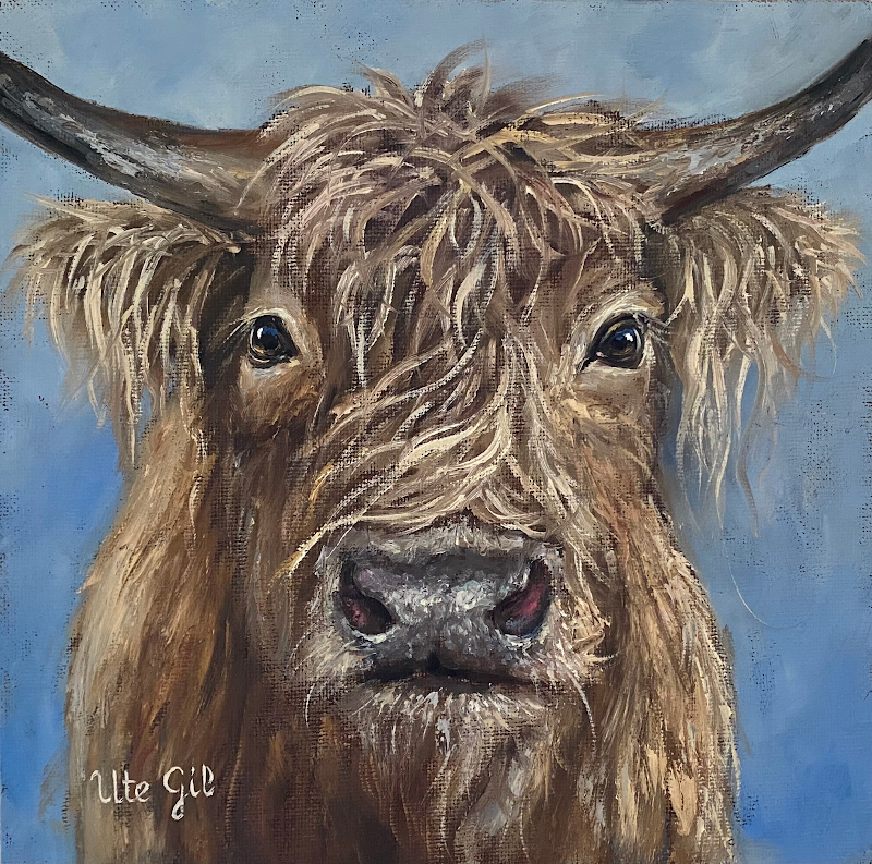 Highland Cow, 8" x 8", oil on canvas, by Ute Gil Highland Cow, 8" x 8", oil on canvas, by Ute Gil