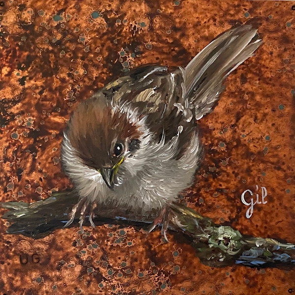 Sparrow, 4" x 4", oil on copper, by Ute Gil Sparrow, 4" x 4", oil on copper, by Ute Gil